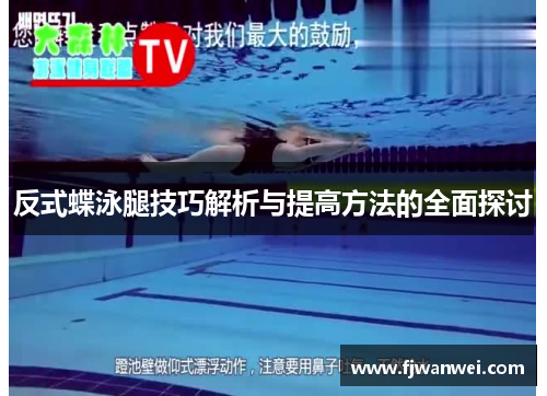 反式蝶泳腿技巧解析与提高方法的全面探讨