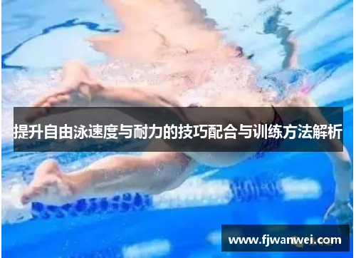 提升自由泳速度与耐力的技巧配合与训练方法解析