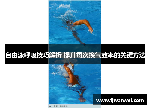 自由泳呼吸技巧解析 提升每次换气效率的关键方法