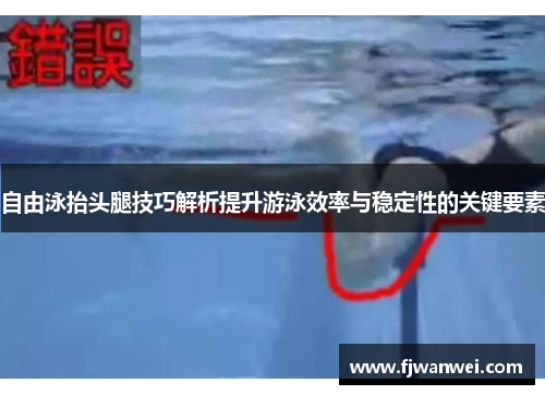 自由泳抬头腿技巧解析提升游泳效率与稳定性的关键要素