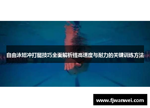 自由泳短冲打腿技巧全面解析提高速度与耐力的关键训练方法