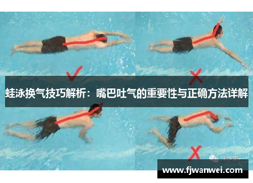 蛙泳换气技巧解析：嘴巴吐气的重要性与正确方法详解